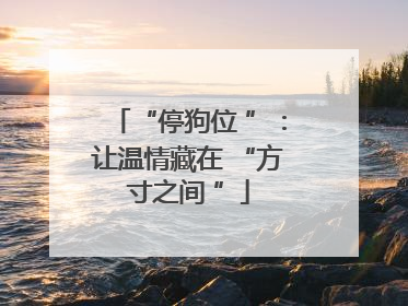 “停狗位 ”：让温情藏在 “方寸之间 ”